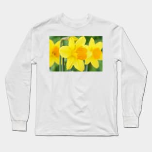 Narcissus  &#39;Armada&#39;   Division 2 Large-cupped Daffodil Long Sleeve T-Shirt